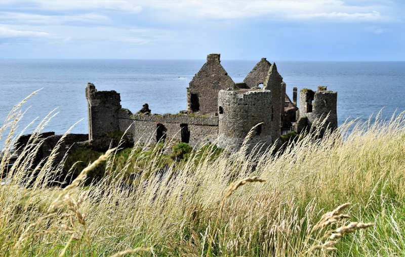 dunluce castle, near, ireland, landscape, concrete, landmark, sea, plant, horizon, castle, architecture, no people, middle ages, tranquility, building