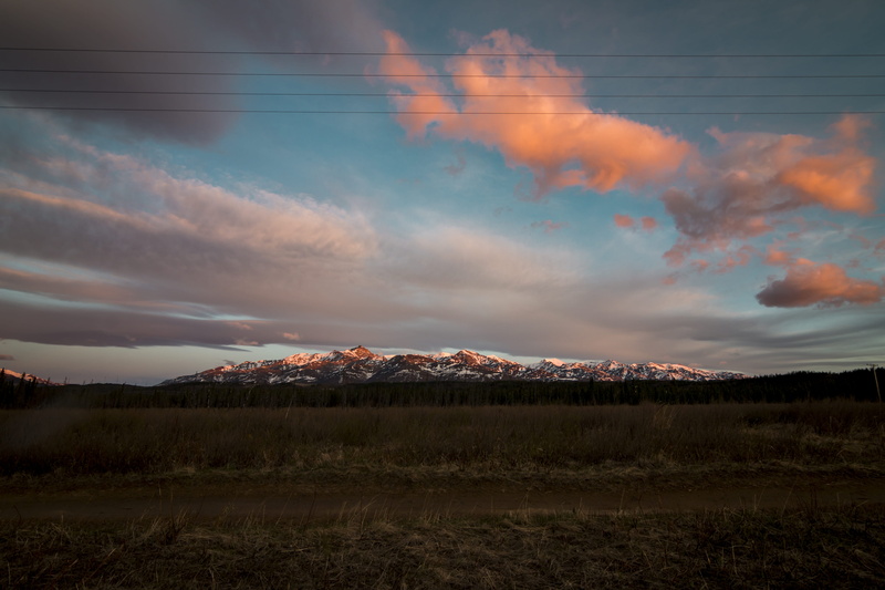 tree, idyllic, landscape, non-urban scene, healy, alaska, environment, tranquil scene, plant, united states, outdoors, sun, cloud - sky, snowcapped mountain