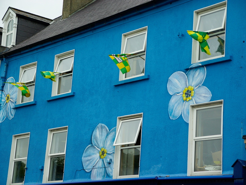 potted plant, galway, built structure, facade, decoration, house painted, outdoors, 2K, glass - material, flower, apartment, residential district, architecture
