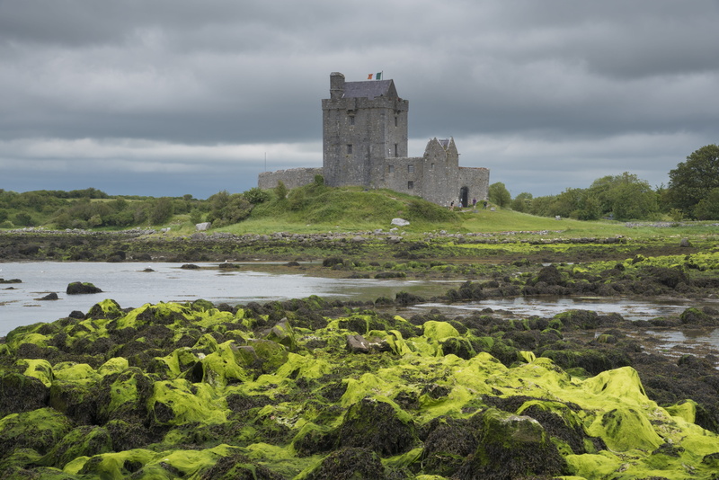 tourism, old ruin, nature, attraction, castle, landmark, Co Galway, the past, sky, travel destinations, building exterior, plant, outdoors, ohynes clan