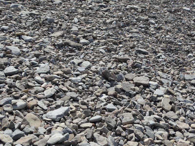 rock - object, solitude, beach, gower, textured, gravel, abundance, swansea, sunlight, backgrounds, pebble, solid, land, high angle view, water, outdoors
