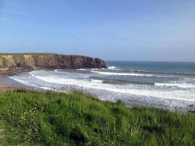 field, cliff, green, ocean, coastline, 2K, green grass, grass, wexford, Beach, sky, near, grass field, blue sky, blue, sea, nature