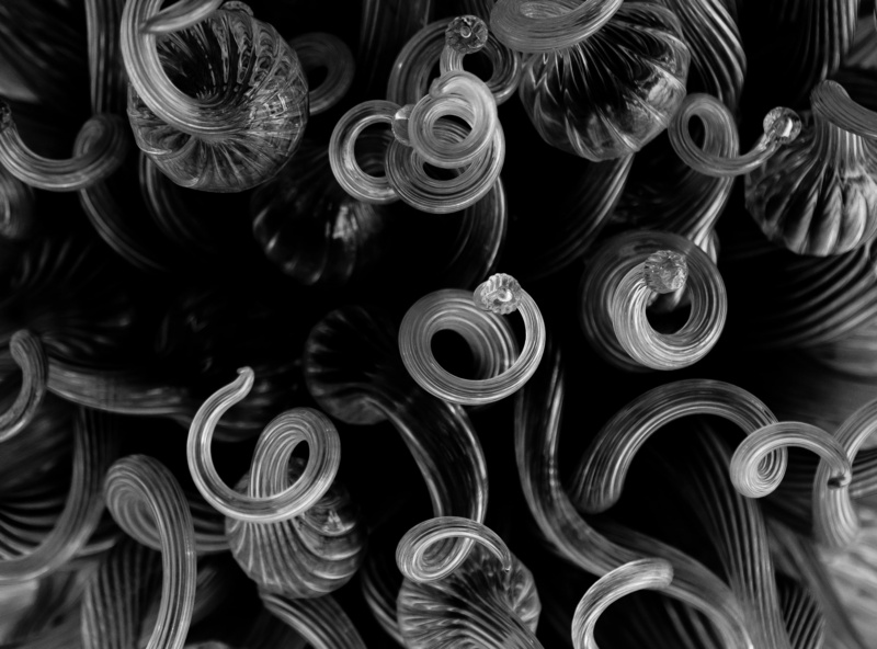 close-up, spiral, United States of America, choice, backgrounds, Black and White, Shaws Garden, glasses, industry, plastic, high angle view, variation