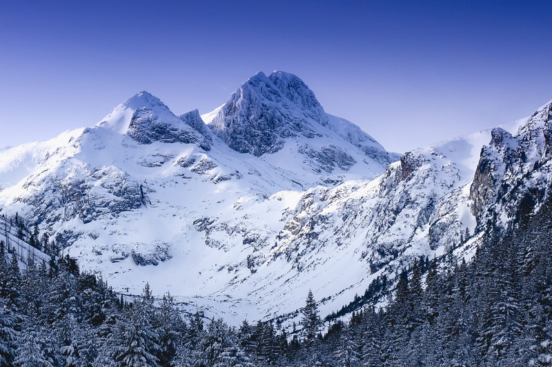 cold temperature, snowcapped mountain, white color, extreme weather, scenics - nature, pine tree, mirrorless, sunrise, sky, winter, tranquil scene, mountain range