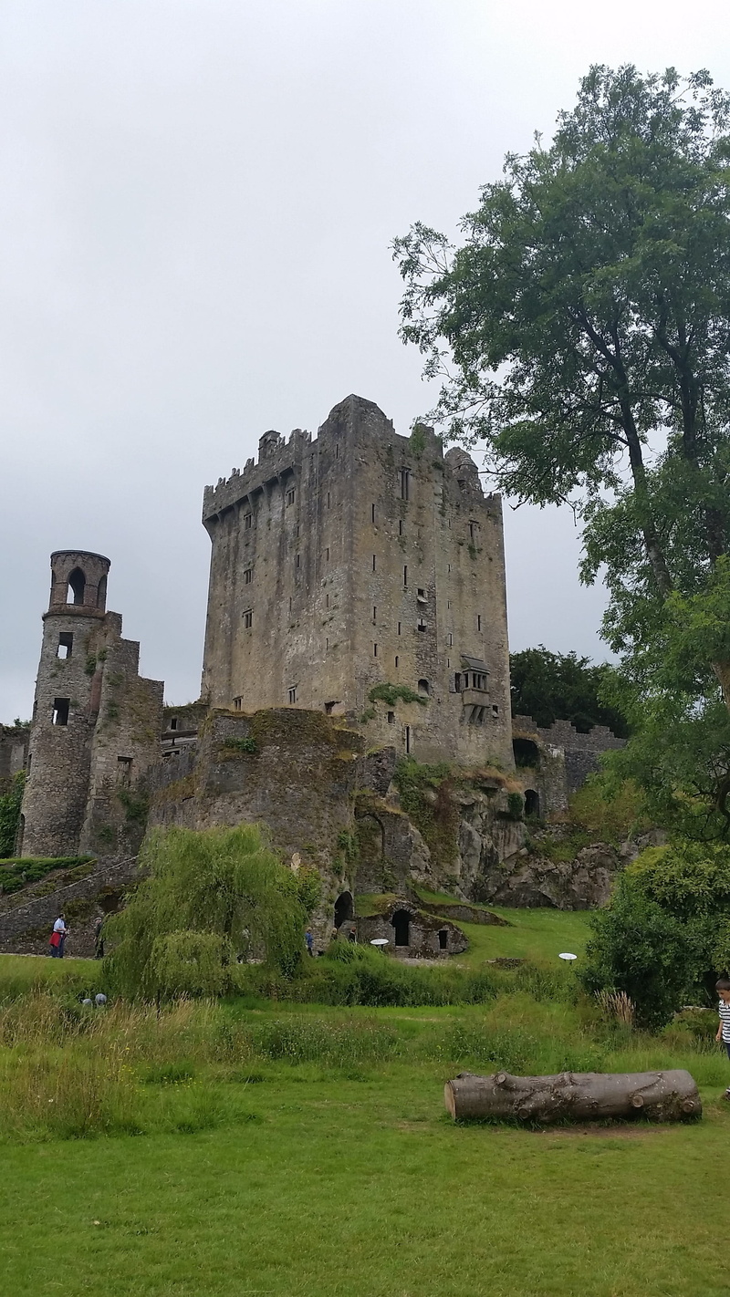 Irish, 2K, old, tourism, travel destinations, day, growth, Blarney, building exterior, Cork, grass, ancient, nature, europe, sky, field, the past, ruined