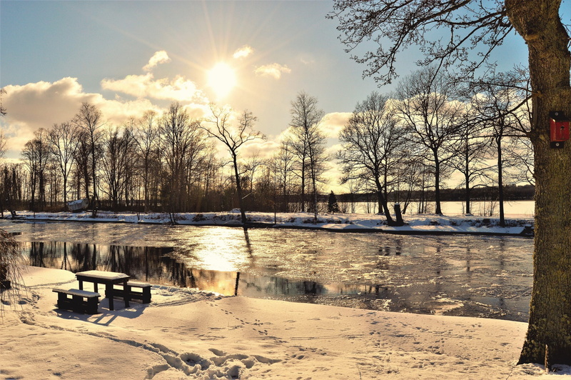 snow, scenics - nature, frozen, river, värnamo, plant, no people, bright, å, sweden, nature, tree, lens flare, sky, beauty in nature, reflection, outdoors