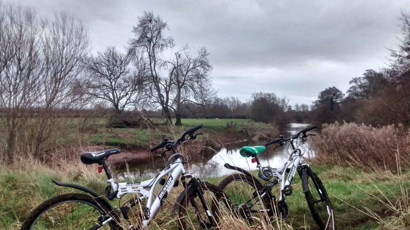ireland, cloud - sky, grass, mode of transportation, cycle, transportation, 2K, nature, plassey park rd, day, ride, bicycle, bare tree, field, sky, river