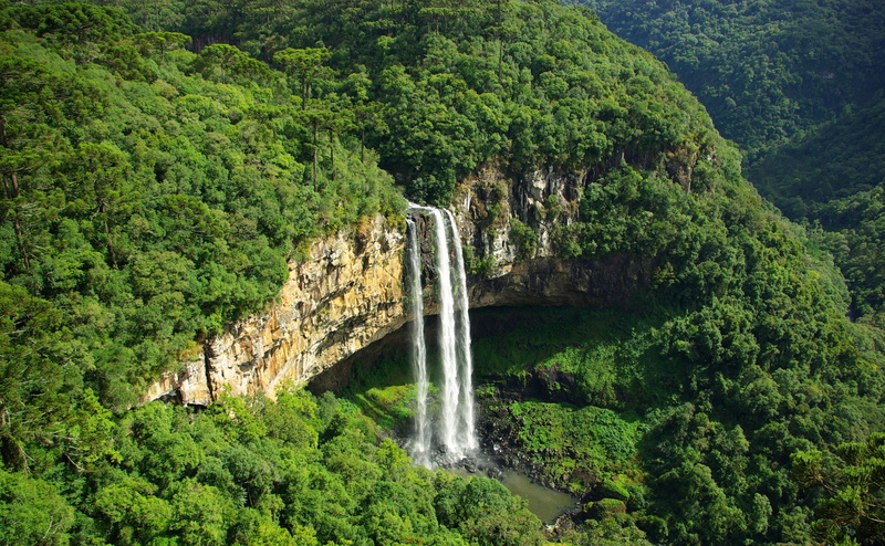 leaf, no people, water, scenics - nature, flowing, beauty in nature, growth, rainforest, South America, non-urban scene, cascata do caracol, caracol, plant