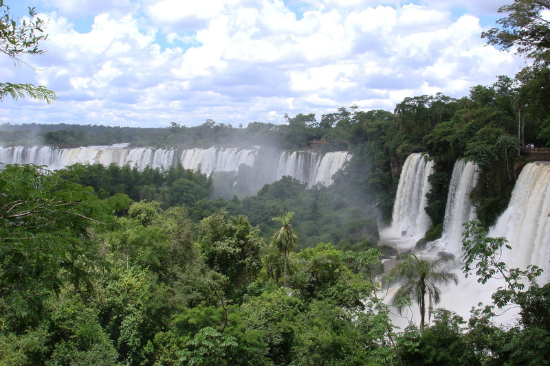 tree, impressive, motion, environment, long exposure, rainforest, outdoors, 2K, cataratas, iguaçu, landscape, flowing, growth, unesco world heritage, day