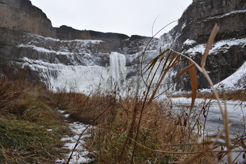non-urban scene, waterfall, flowing, outdoors, go cougs, united states, tranquil scene, frozen, beauty in nature, wsu, nature, winter, washington, no people