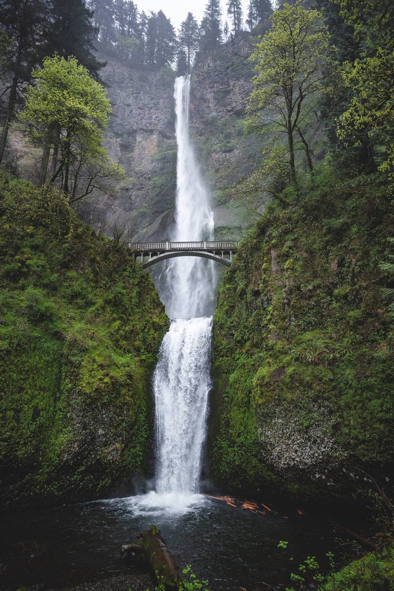 adventure, trees, landscape, environment, travel, lake, plant, bridge, outdoors, forest, natural, green, multnomah falls, mountain, rock, river, motion