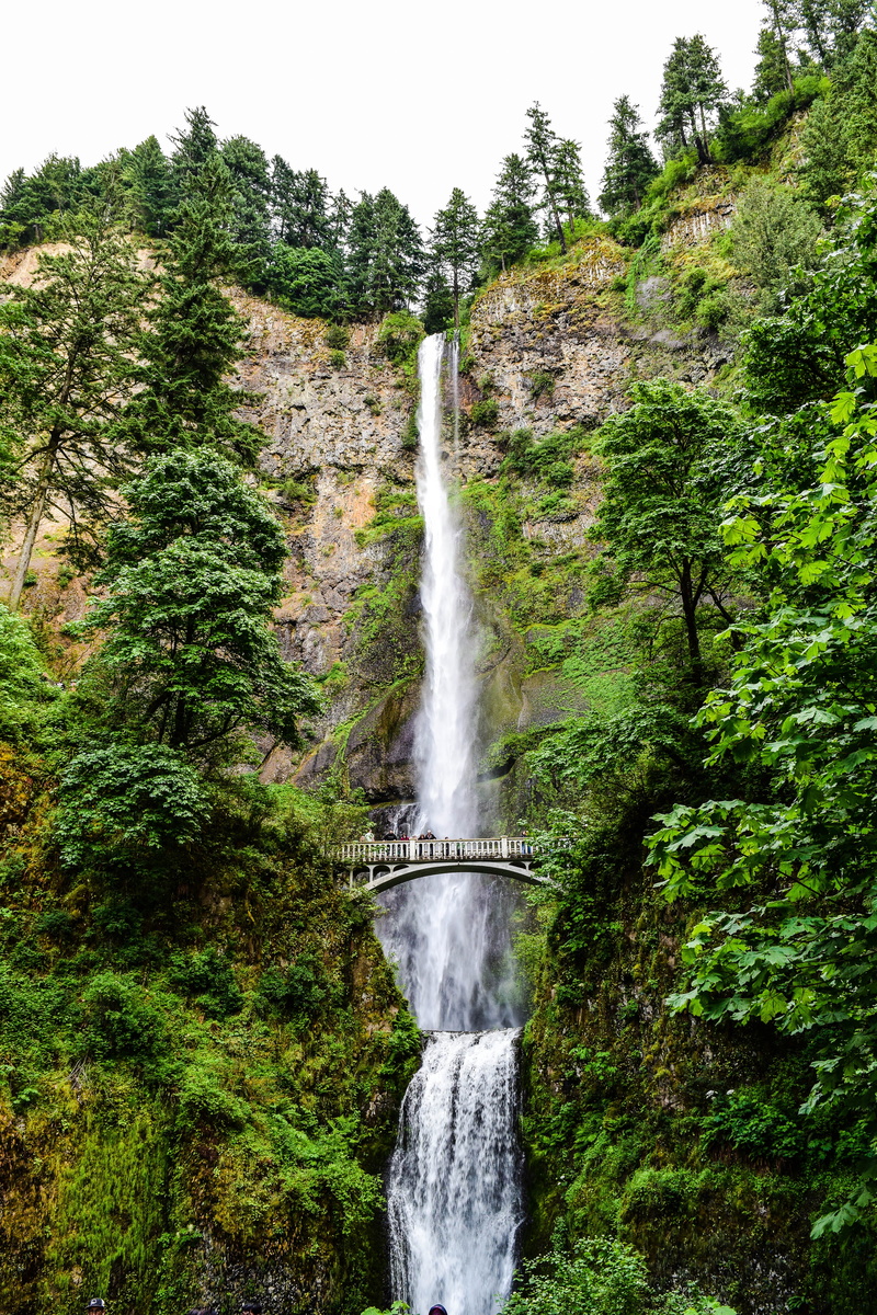 5K, power in nature, scenics - nature, long exposure, multnomah falls, oregon, no people, tree, outdoors, falling water, motion, trees, flowing water
