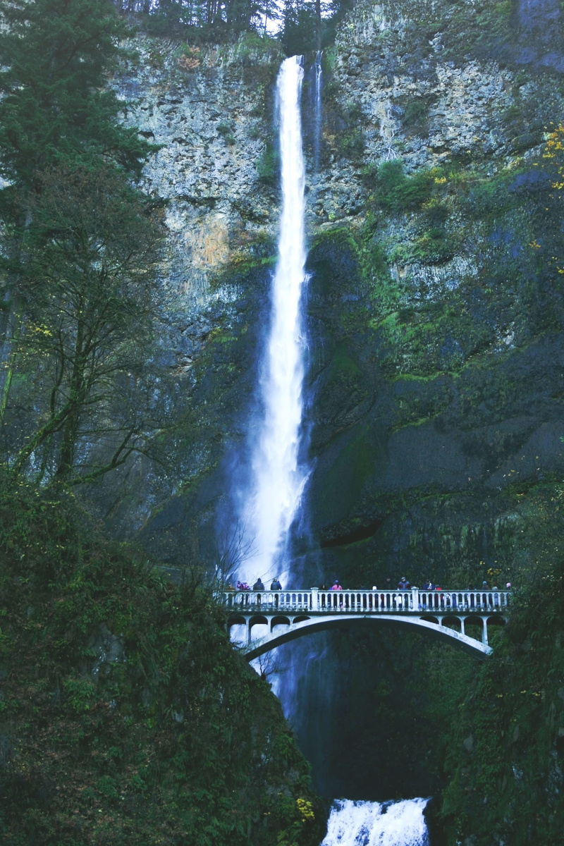 bridge - man made structure, multnomah falls, beauty in nature, arch bridge, water, tree, power in nature, built structure, bridge, landscape, plant, motion