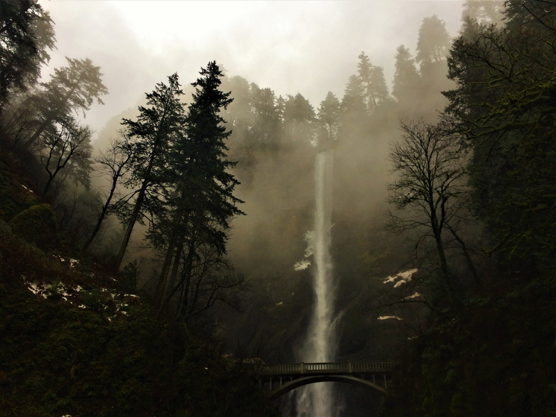 oregon, beauty in nature, forest, tranquil scene, waterfall, 2K, falls, environment, tree, river, no people, non-urban scene, scenics - nature, flowing water