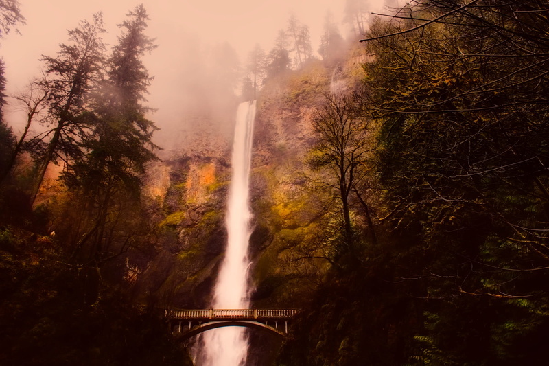 woods, motion, beauty in nature, landscape, plant, waterfall, haze, flowing, environment, non-urban scene, fog, scenics - nature, multnomah falls, flowing water