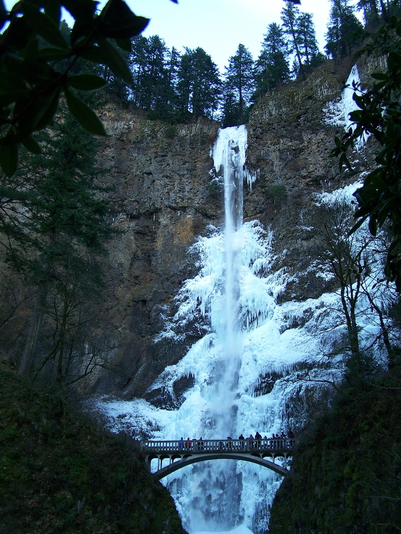 waterfall, water, connection, beauty in nature, winter, forest, arch bridge, power in nature, bridge, tree, scenics - nature, bridge - man made structure