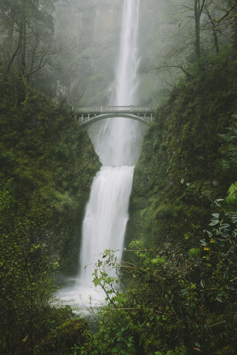 scenics - nature, plant, flowing water, bridge, day, environment, motion, rainforest, waterfall, connection, bridge - man made structure, beauty in nature
