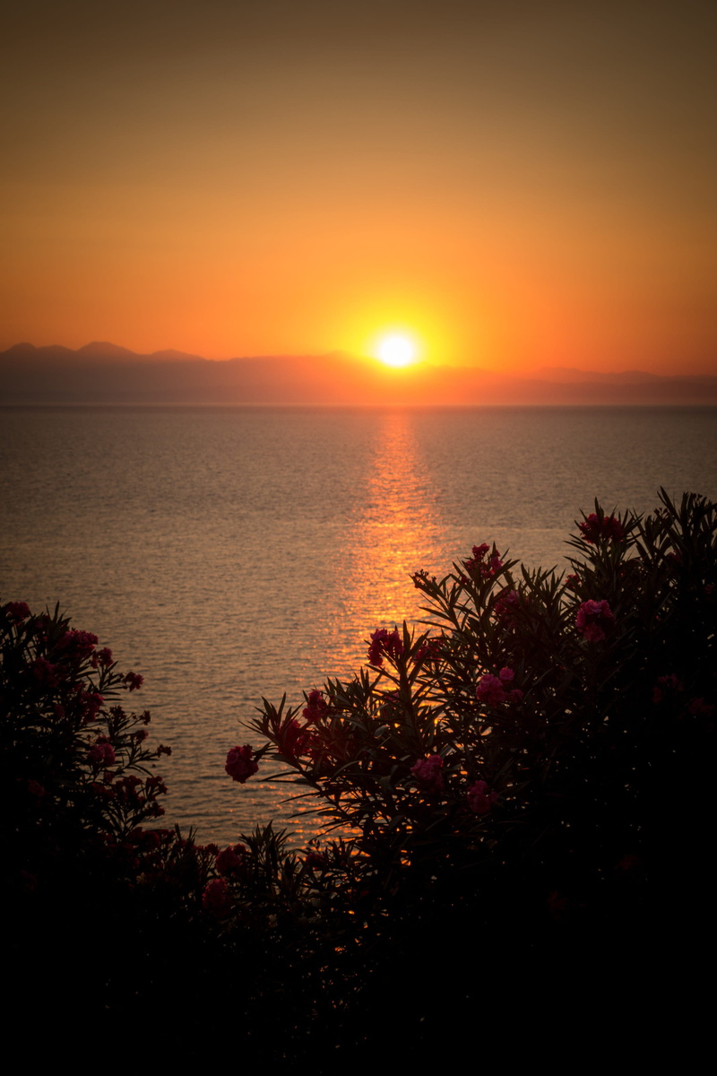 tranquility, sea, orange color, zante, water, romantic, an island, sunlight, reflection, summer, sky, plant, mood, flowers, romantic sky, horizon, zakynthos