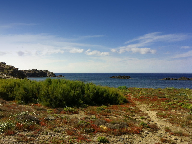 beach, environment, sea view, view, horizon, sky, hill, scenics, blue, fouling, landscape, vegetation, cloud - sky, grass, tranquility, rocky coast, coastline