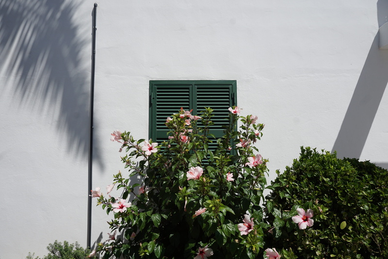menorca, architecture, spain, building exterior, flower, bush, plant, cala santandria, built structure, holiday, outdoors, flowers, vulnerability, nature