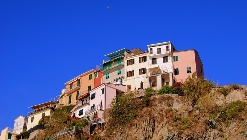 cinque terre, manarola, hill, building exterior, colorful, low angle view, sunlight, copy space, sky, house, building, mountain, blue, plant, 4K, no people