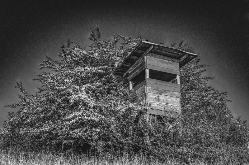 abandoned, hunter was, sky, lighting, loneliness, shrubs, black white, dark, mystical, growth, place of worship, mood, long exposure, meadow, clear sky