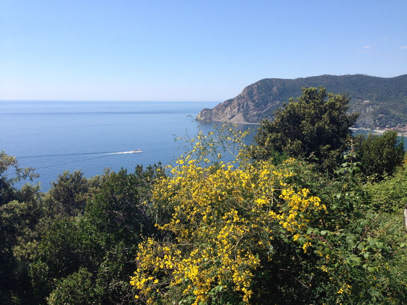 boat, plant, blue, tranquility, flower, sky, landscape, europe, Italy, scenics, growth, outdoors, no people, island, clear sky, Sea, mediterranean Sea