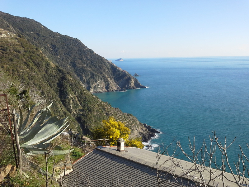 tranquil scene, nature, riomaggiore, tree, blue, day, park, Cinqueterre, high angle view, no people, Pineda, sea, tranquility, mountain, Sunsets, sky, 2K