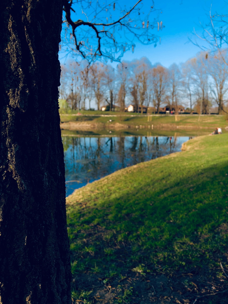 reflection, grass, lake, field, tranquility, trunk, non-urban scene, water, nature, tranquil scene, day, parco forlanini, green, land, person, tree trunk