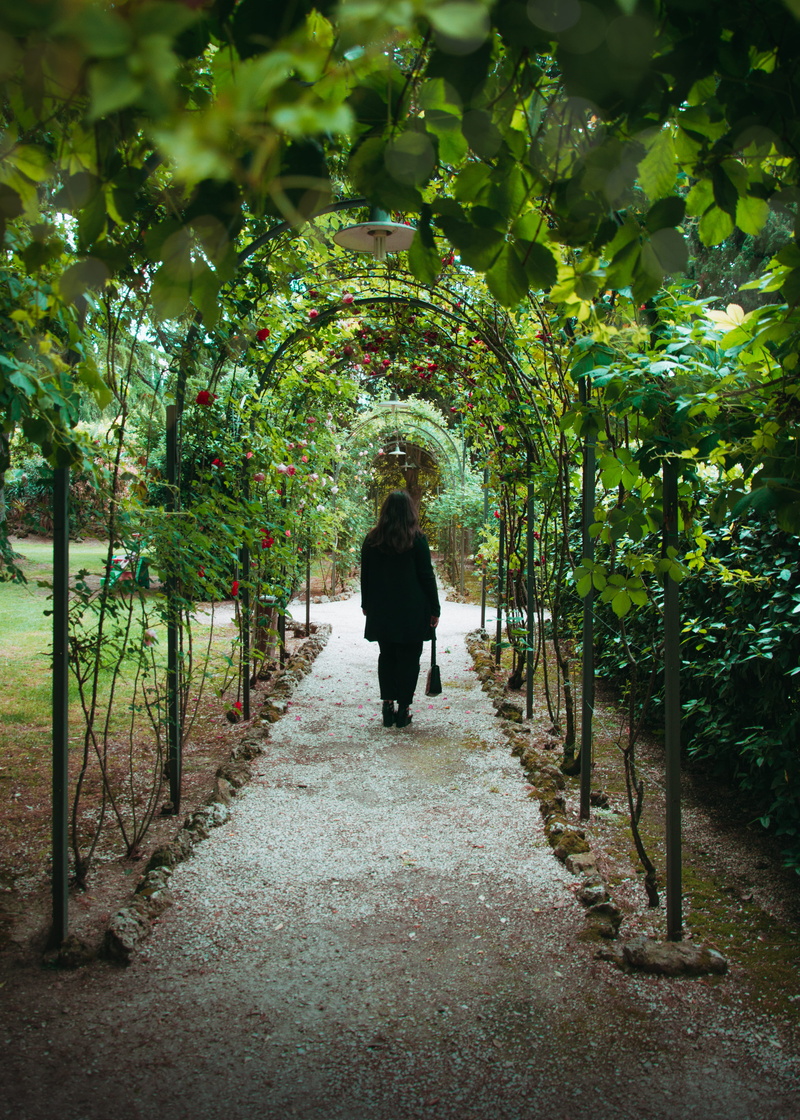 italy, rear view, 5K, rose, parco dei cavalieri, adult, love, arc, petrignano, leisure activity, people, walking, outdoors, spring, men, romantic, beauty