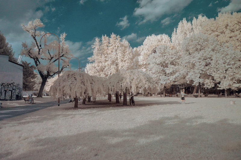 parco giovanni paolo ii, outdoors, cold temperature, blue sky, sky, scenics - nature, growth, snow, environment, tree, italy, treelined, park, travel, nature
