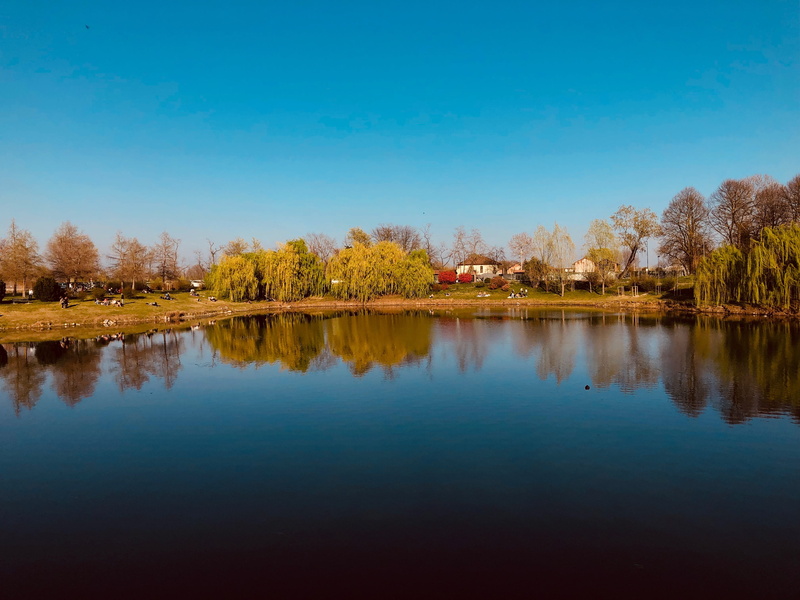 forlanini park, idyllic, tree, autumn, parco forlanini, sky, nature, reservoir, 4K, green, landscape, change, tranquility, tranquil scene, plant, milano