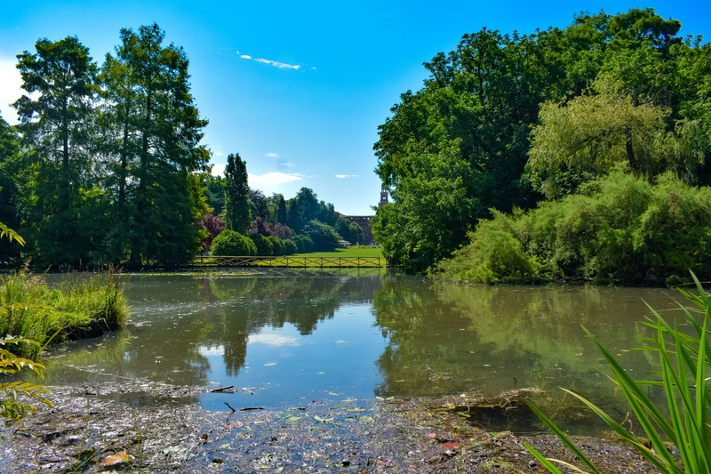 outdoors, green color, no people, milano, tranquil scene, idyllic, italy, trees, landscape, morning, sunshine, tranquility, park, parco sempione, non-urban scene