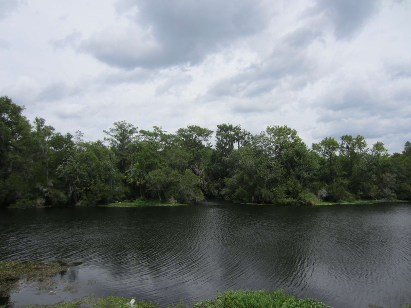 nature, cloud, forest, nuvola, non-urban scene, river, tree, tranquil scene, albero, no people, green, sky, green color, blu, celo, scenics - nature, water
