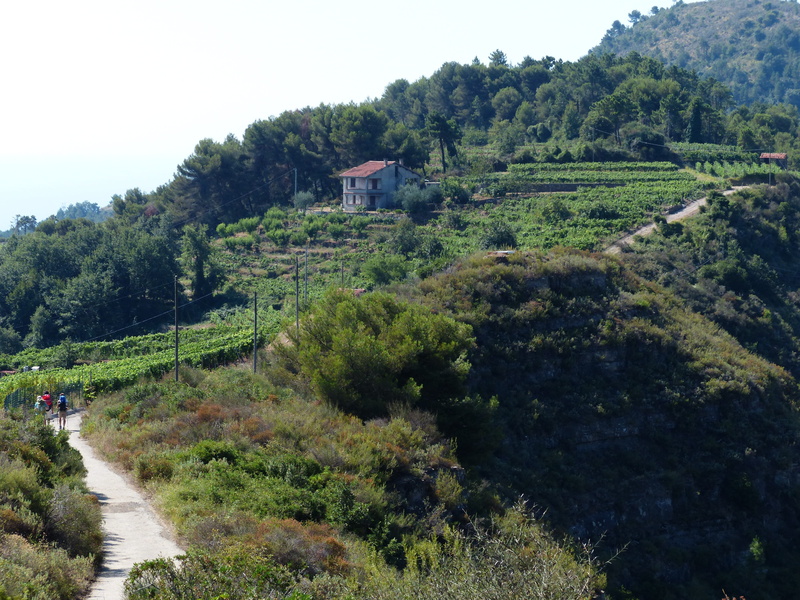 house, plant, höhenweg, trail, scenics - nature, away, wanderer, trail of the ligurian mountains, building exterior, beauty in nature, long distance trail