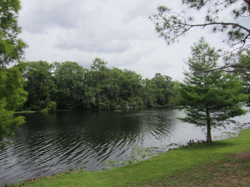 non-urban scene, scenics - nature, outdoors, parco, blu, tree, cloud - sky, day, nature, tranquil scene, growth, grass, lake, green color, 4K, blue, verde