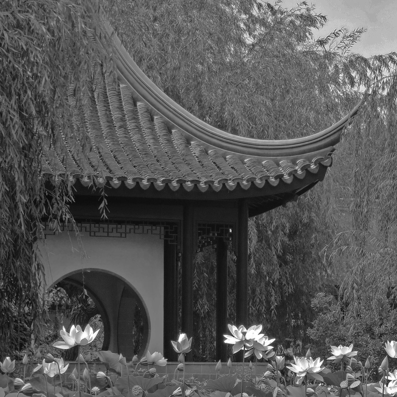 outdoors, spirituality, united states, built structure, no people, flowering plant, chinese garden, san marino, flower, 720P, religion, the huntington library