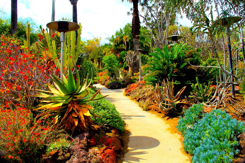 2K, san, marino, nature, california, usa, cactuses, botanical, garden, gardens