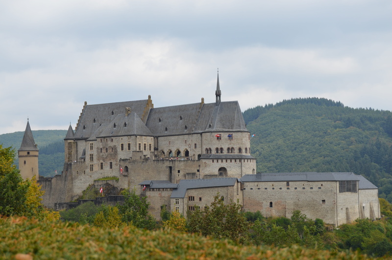 city, building, luxembourg, 5K, day, tree, tourism, historical, religion, history, travel, outdoors, vianden, building exterior, castle, nature, old, monument