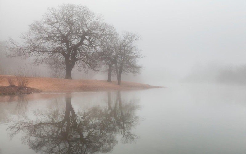 fog, nature and landscapes, trees, shore, wondrous, river, 1080P