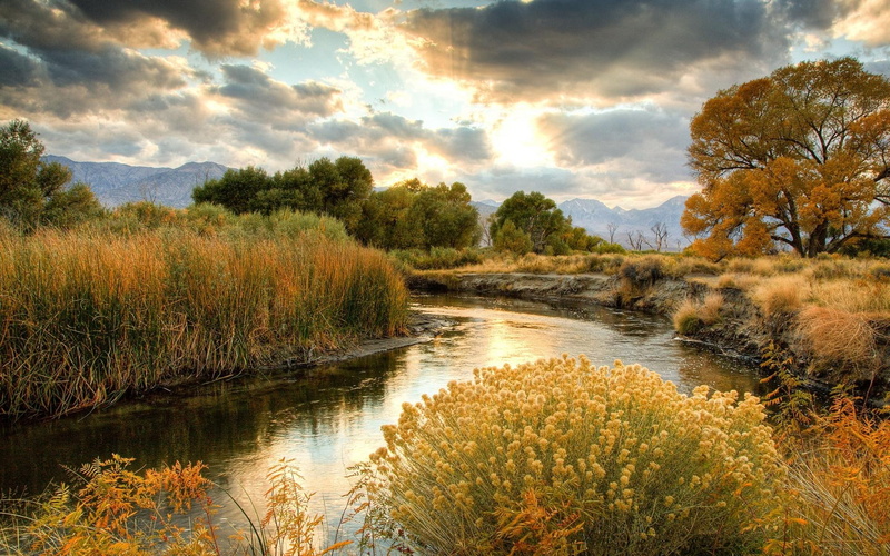clouds, autumn, 1080P, wondrous, river, nature and landscapes, grass, trees, sun rays, lscape
