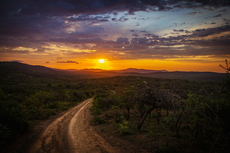dusk, wondrous, roads, nature, landscape, view, dawn, no people, paths, direction, dirt, sky, majestic, horizon, plants, fog, bushes, environment, road
