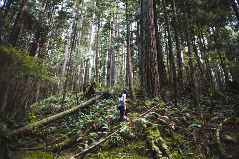 Hiking, forest, leisure activity, Women, full length, outdoors, real people, plant, land, Outdoor, growth, Trees, photo, woodland, Earth, tree, nature