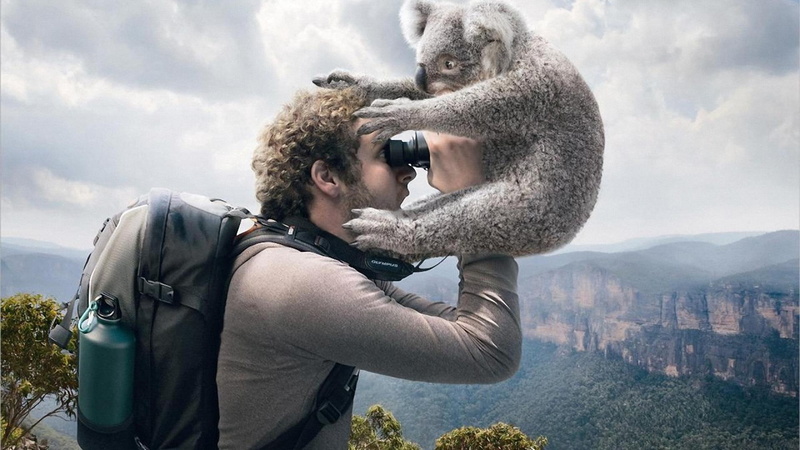 mountains, art, 1080P, bears, cuddly, bear, animals, bushwalking, koala, hiker, hd