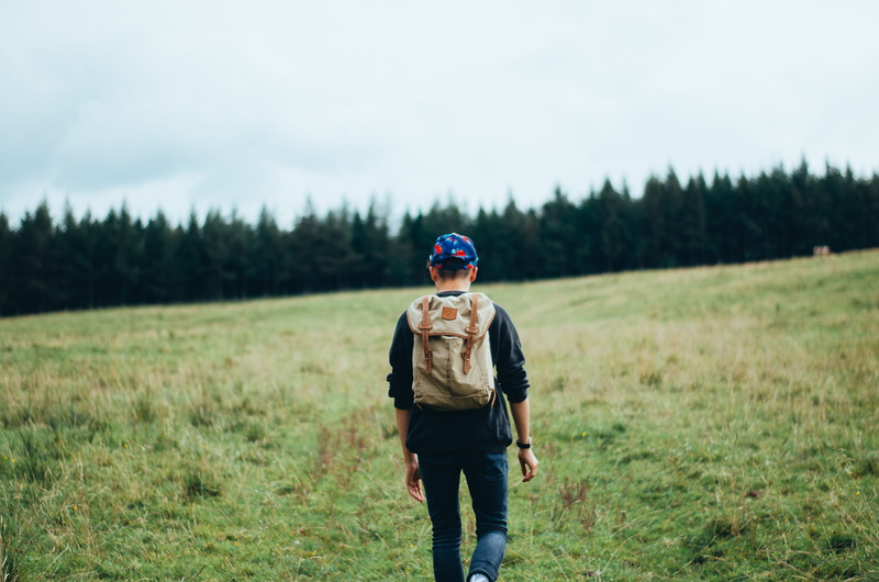 land, walk, nature, outdoors, growth, brown, hiker, sweater, outdoor, 2K, young, activity, standing, green grass, landscape, blue, trek, black, person
