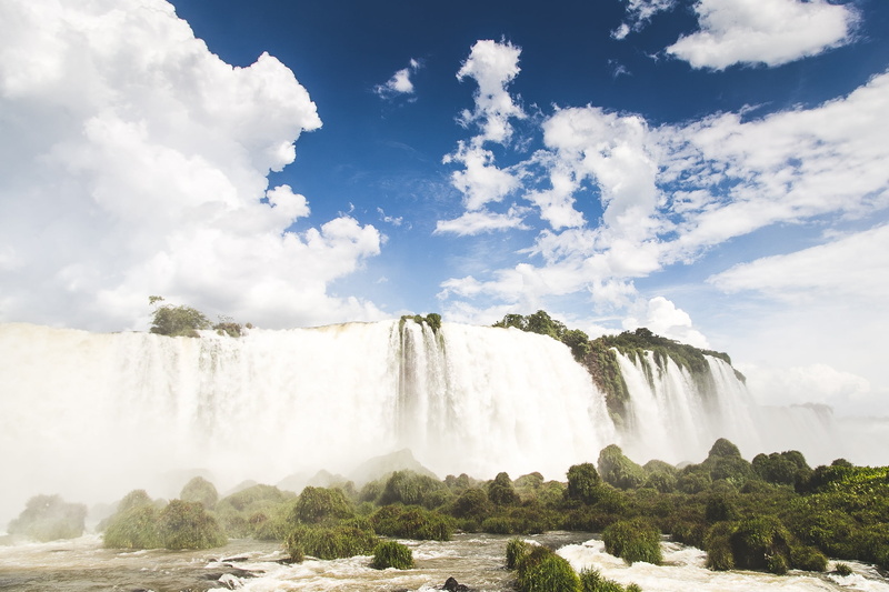 tree, white, iguacu Falls, environment, scenic, daytime, vegetation, flowing water, flow, clean, outdoors, lush, near, water, waterfall, tourism, travel destinations