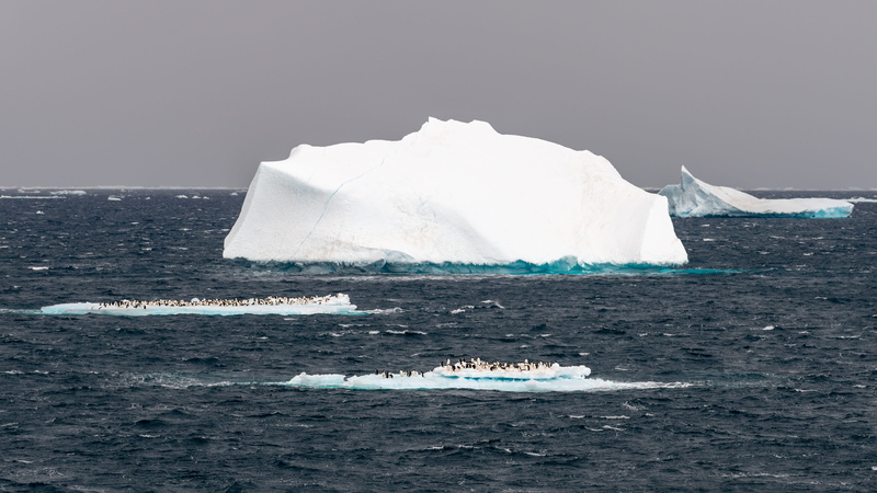 glacier, environment, nature, ice, 4K, polar climate, antarctica, ocean, bransfield strait, winter, frozen, no people, boat, snow, animal themes, scenics - nature
