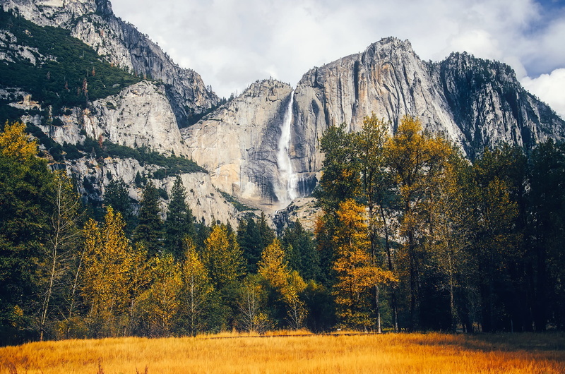 near, leaf, growth, mountains, scenics - nature, beauty in nature, waterfall, california, no people, falls, autumn, yosemite, plant, beautiful, mountain