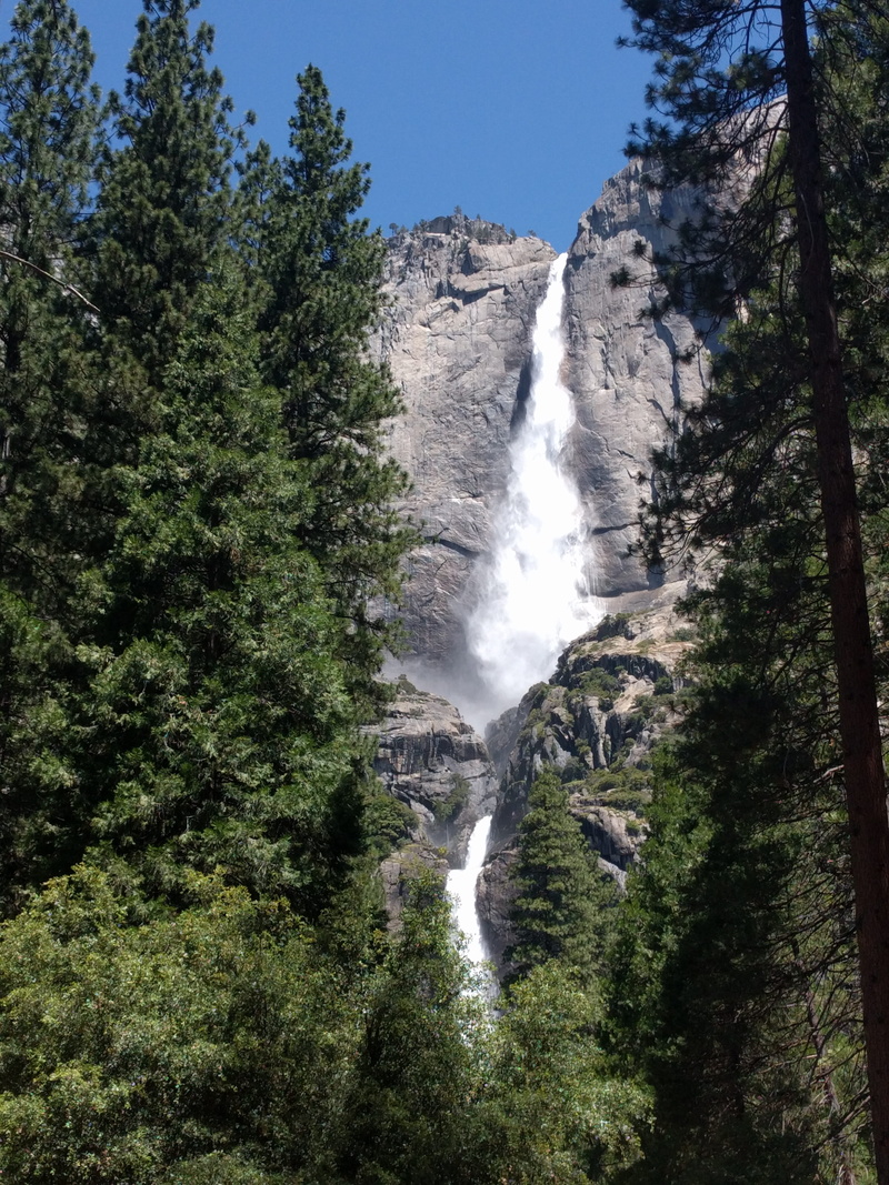 beauty in nature, plant, long exposure, power in nature, bridal veil falls, scenics - nature, nature, sky, tree, waterfall, motion, land, water, growth