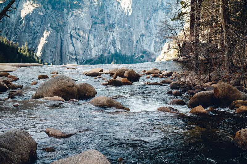 flowing, snow, yosemite valley, mammal, mountain, plant, rock - object, tree, ice, otter, outdoors, forest, beauty in nature, animal, rock, stream, bear